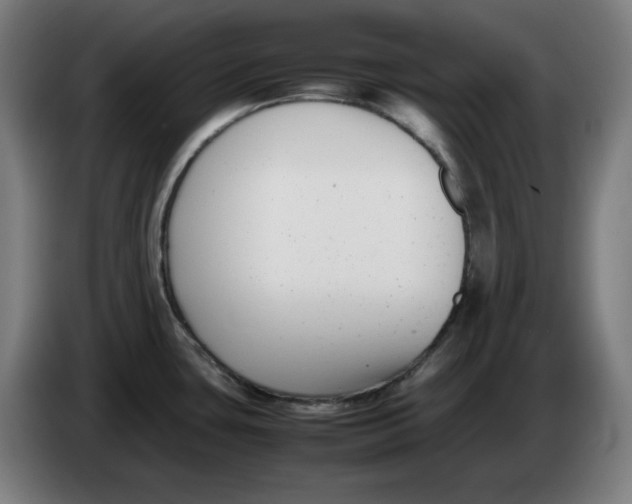 X0000086241435200704191811