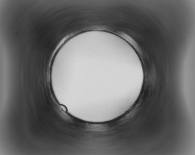 X0000086241436200704191812