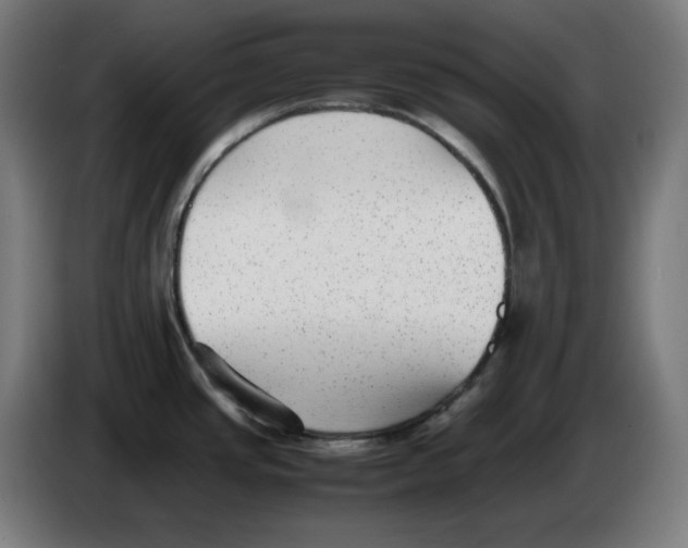 X0000086241437200704191812