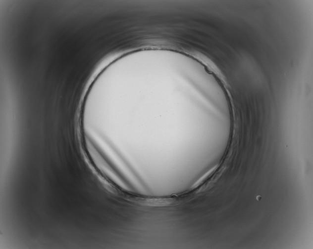X0000086241440200704191812