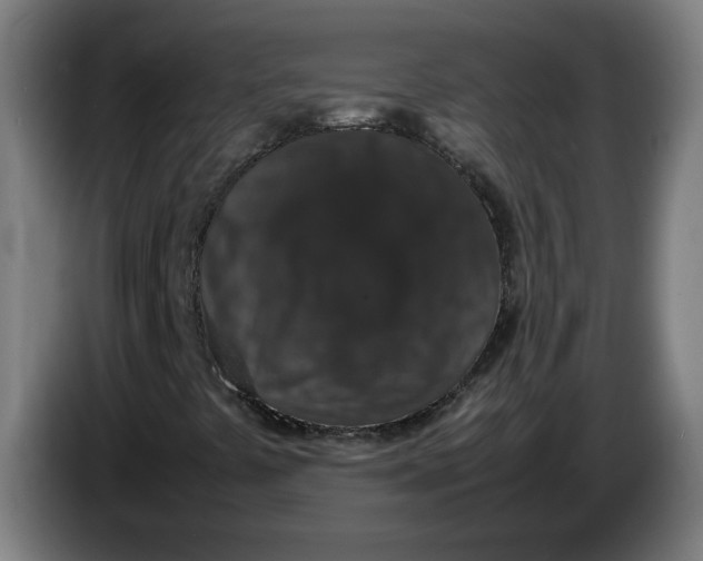 X0000086241441200704191811