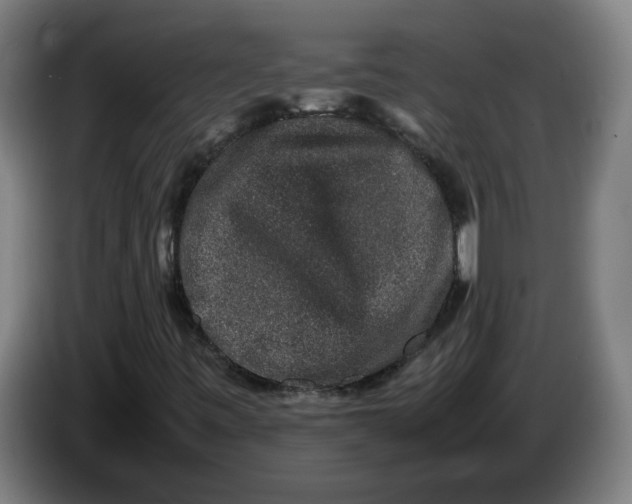 X0000086241443200704191811
