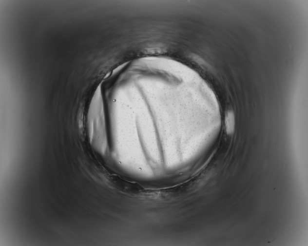 X0000086241444200704191811