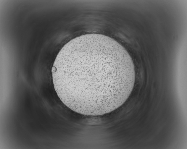 X0000086241446200704191811