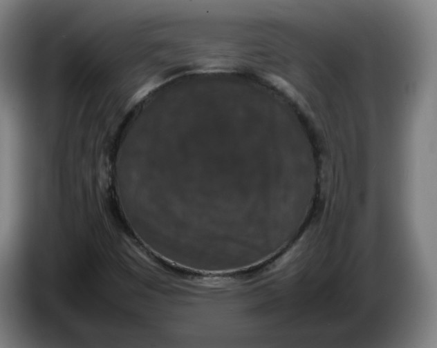 X0000086241449200704191811