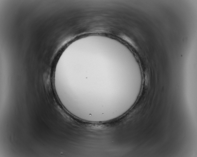 X0000086241452200704191811