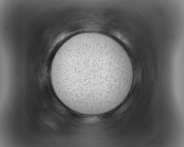 X0000086241454200704191811