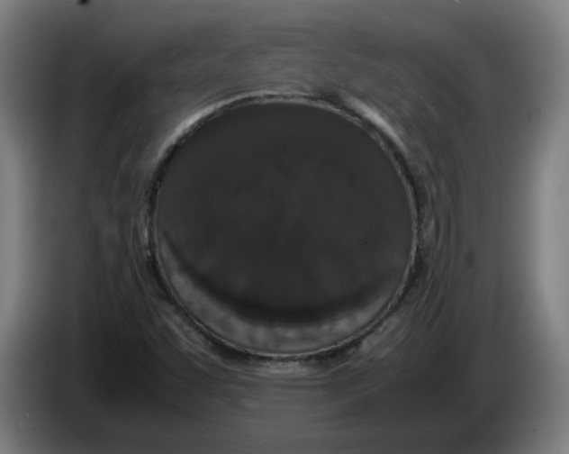 X0000086241455200704191811