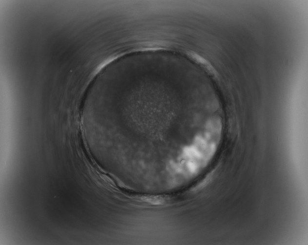 X0000086241457200704191811