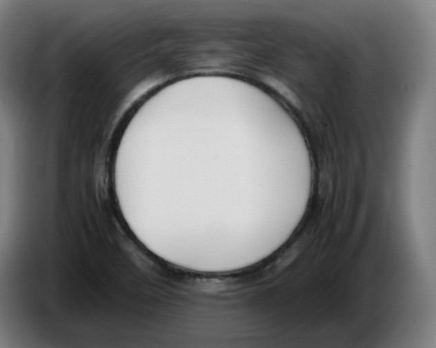 X0000086241458200704191811