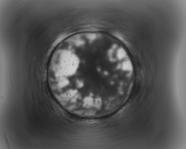X0000086241459200704191811