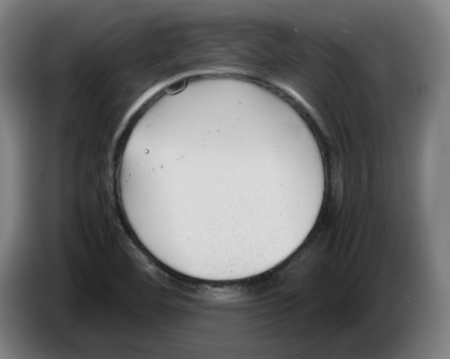 X0000086241460200704191811