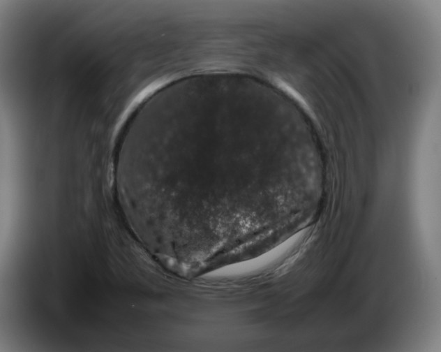 X0000086241461200704191811