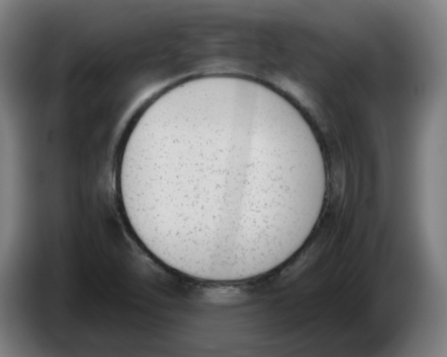 X0000086241462200704191811