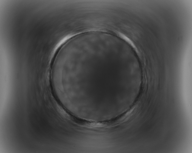X0000086241463200704191811