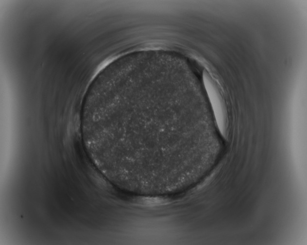 X0000086241465200704191811