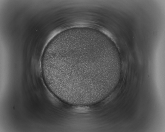 X0000086241466200704191811