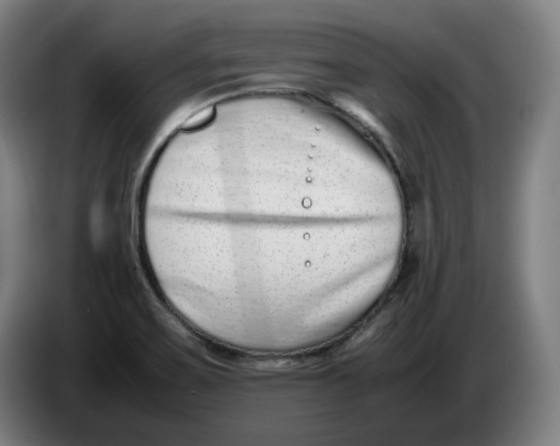 X0000086241467200704191811