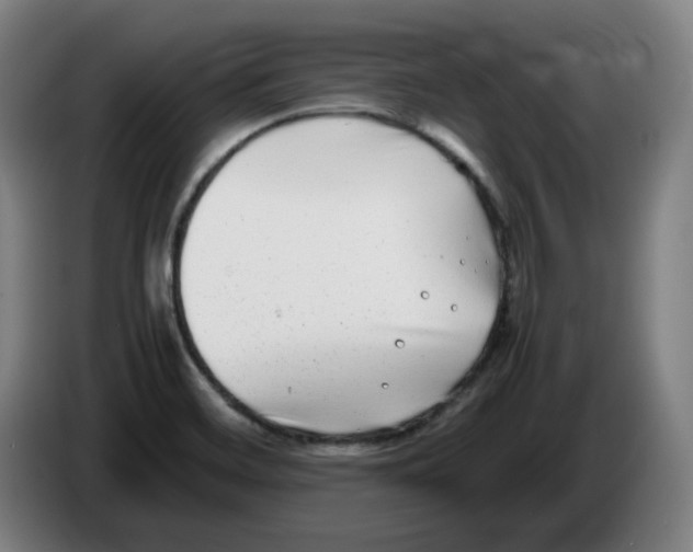 X0000086241468200704191811