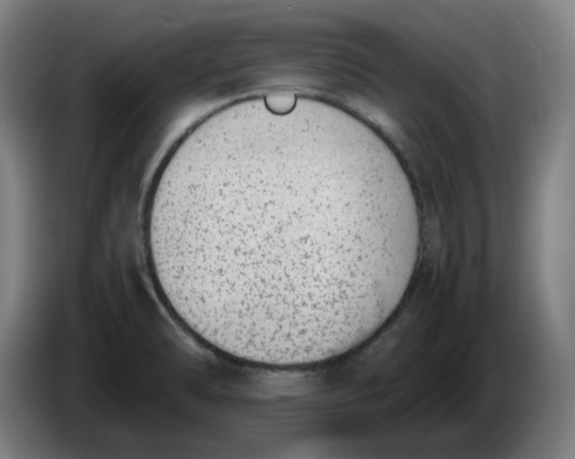 X0000086241470200704191810