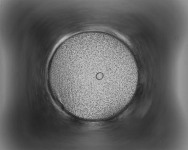 X0000086241471200704191810