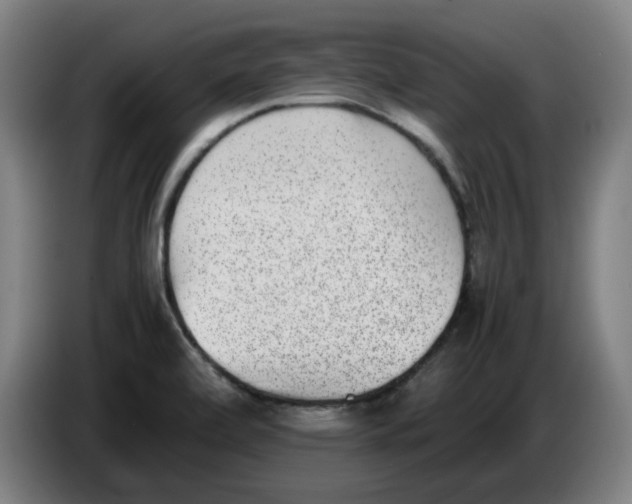X0000086241472200704191810