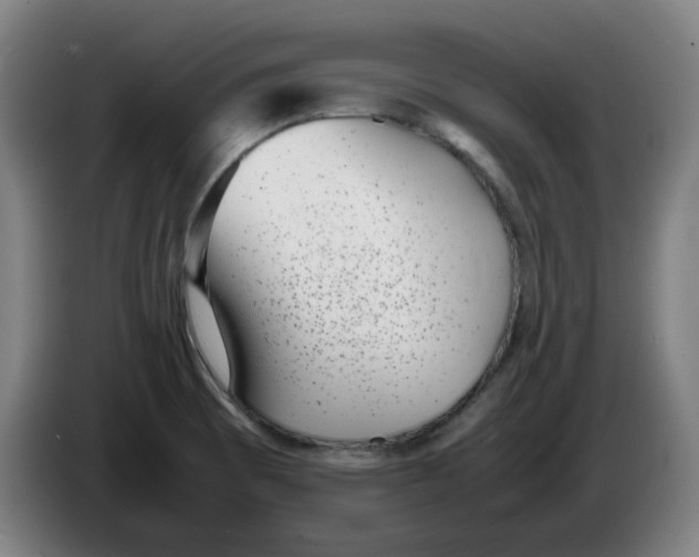 X0000086241473200704191810
