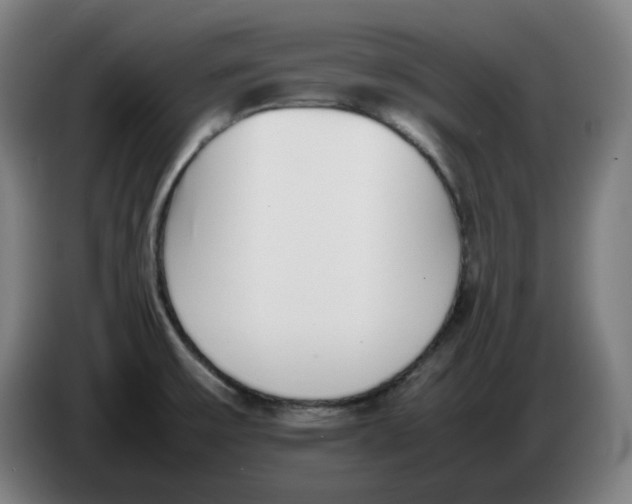 X0000086241475200704191810