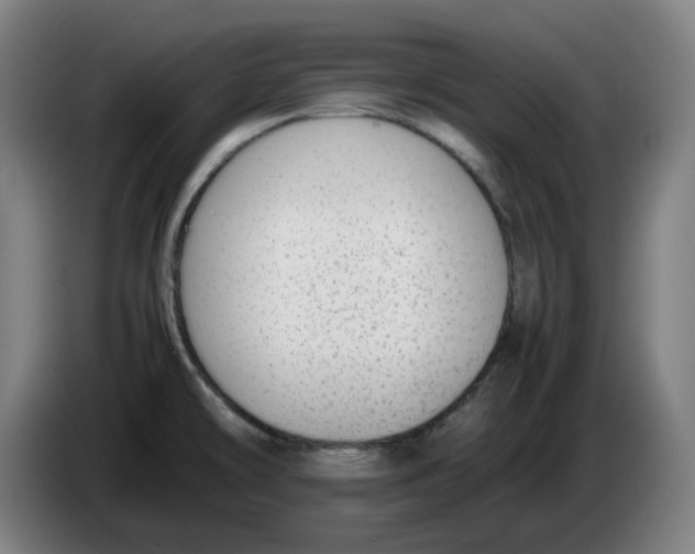 X0000086241478200704191810