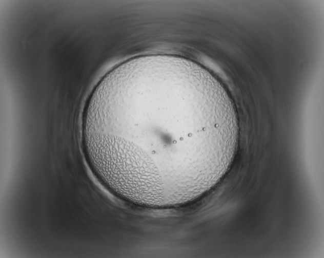 X0000086241479200704191810