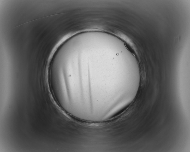 X0000086241480200704191810