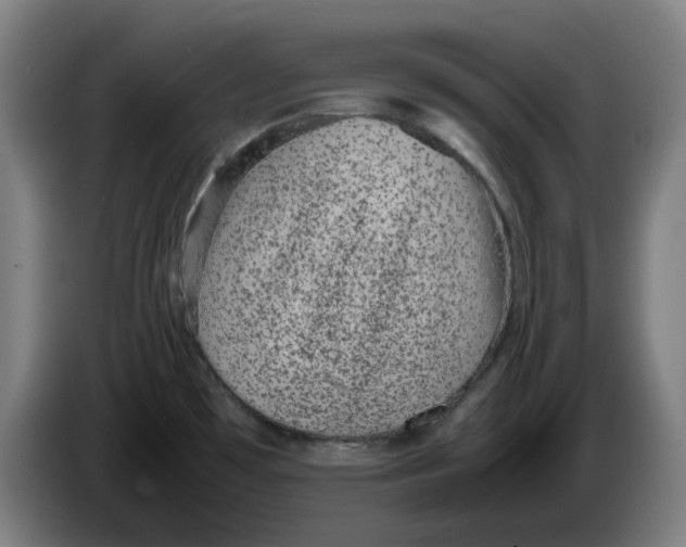 X0000086241481200704191810