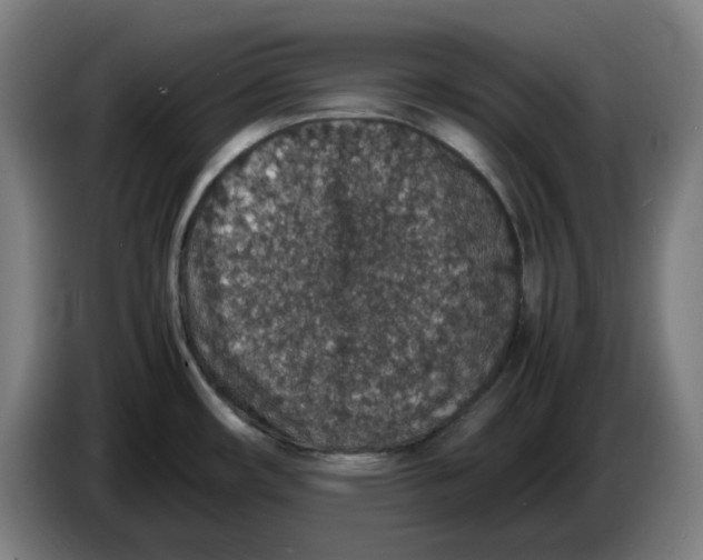 X0000086241482200704191810