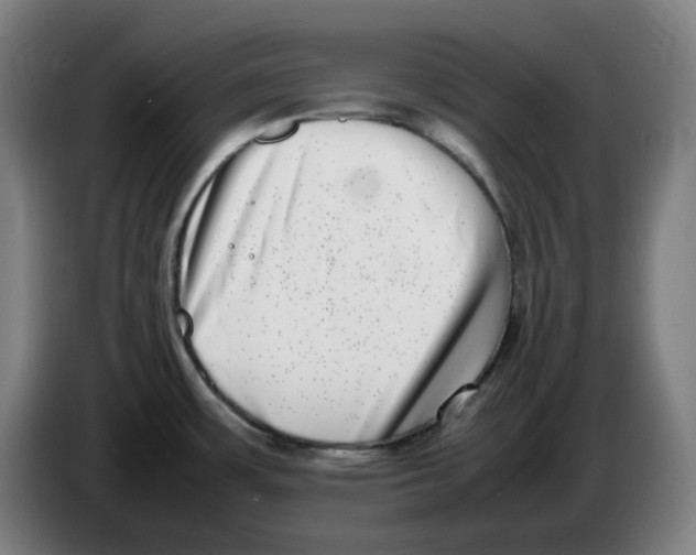 X0000086241483200704191810