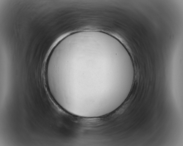 X0000086241486200704191810