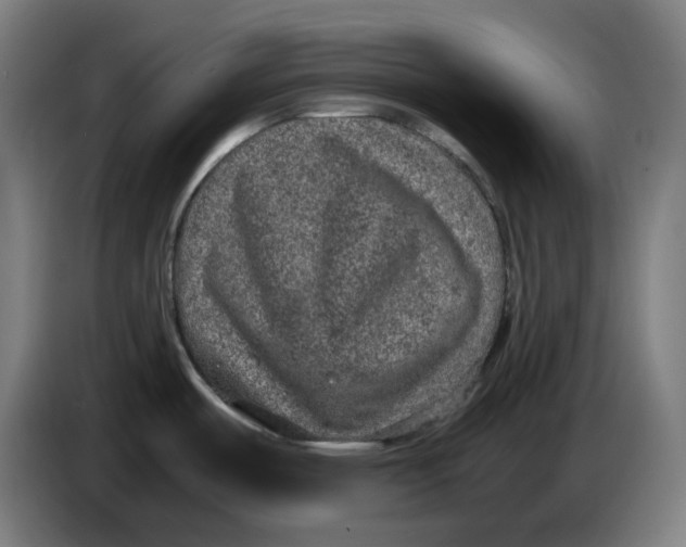 X0000086241487200704191810