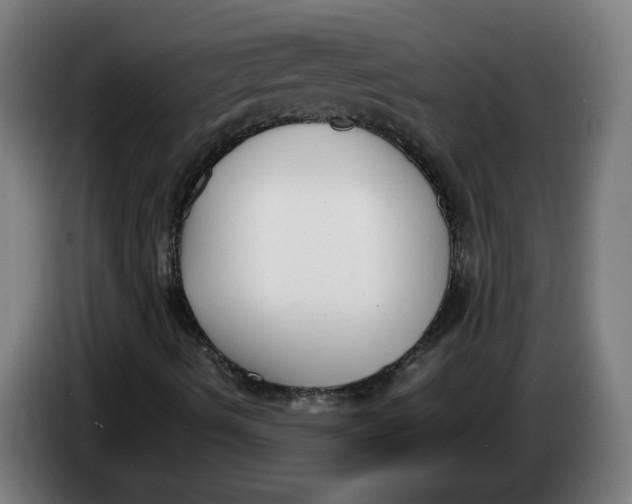 X0000086241490200704191810