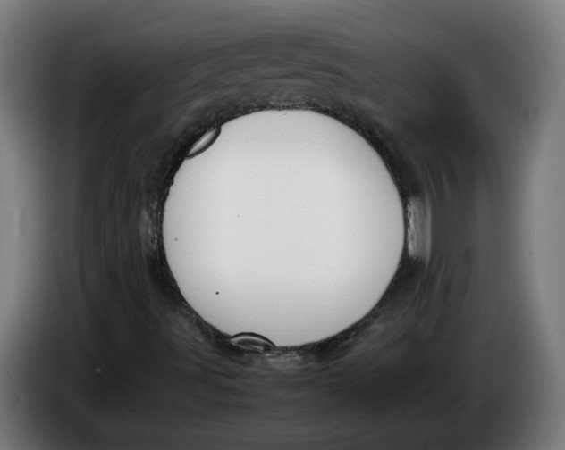X0000086241491200704191810