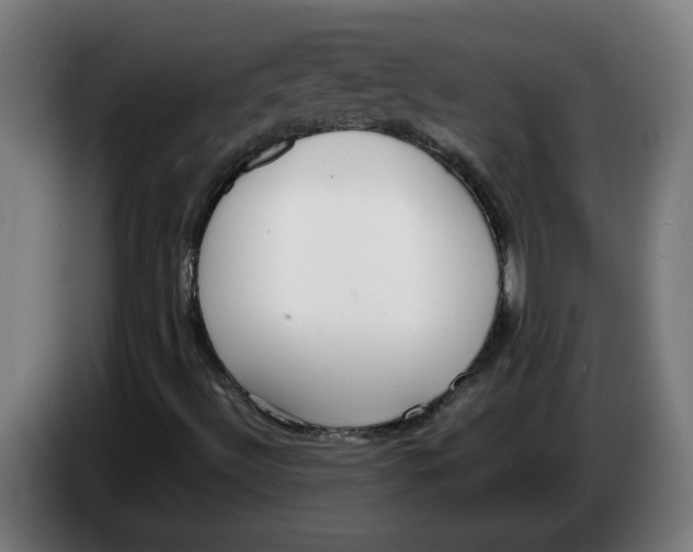 X0000086241492200704191810
