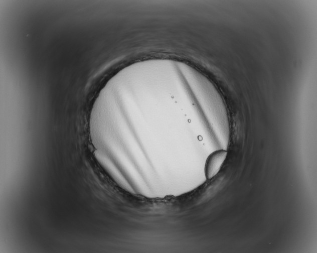 X0000086241494200704191810