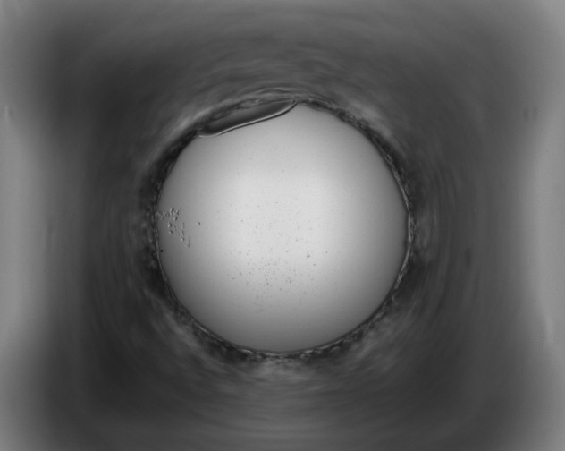 X0000086241496200704191810
