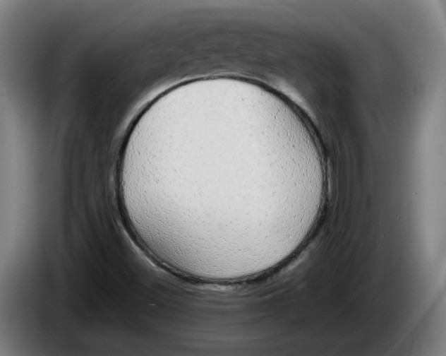 X0000086241500200704191810