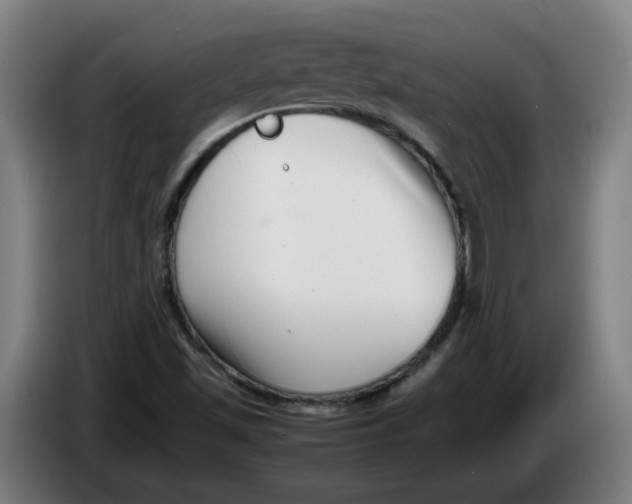 X0000086241501200704191810