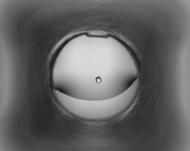 X0000086241502200704191810