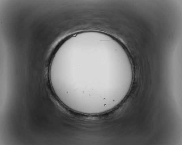 X0000086241503200704191810