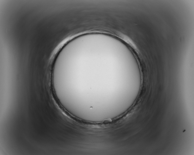 X0000086241504200704191810
