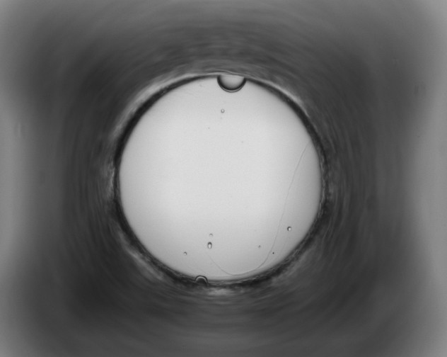 X0000086241507200704191810