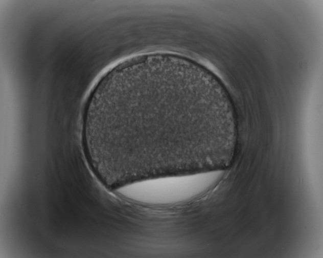 X0000086241508200704191810