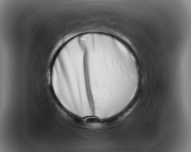 X0000086241509200704191810