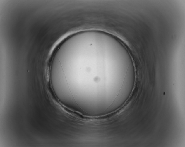 X0000086241510200704191810